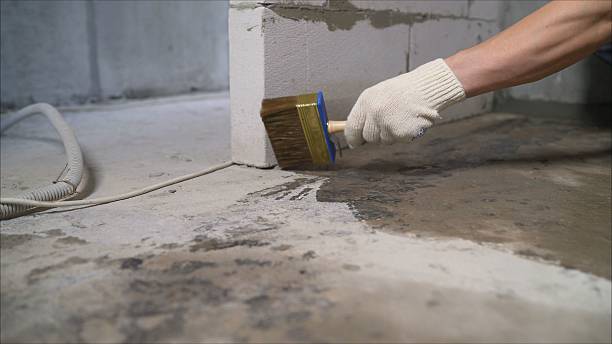 SJ Waterproofing Pros Emergency Waterproofing coverage map for Williamston, MI and surrounding area